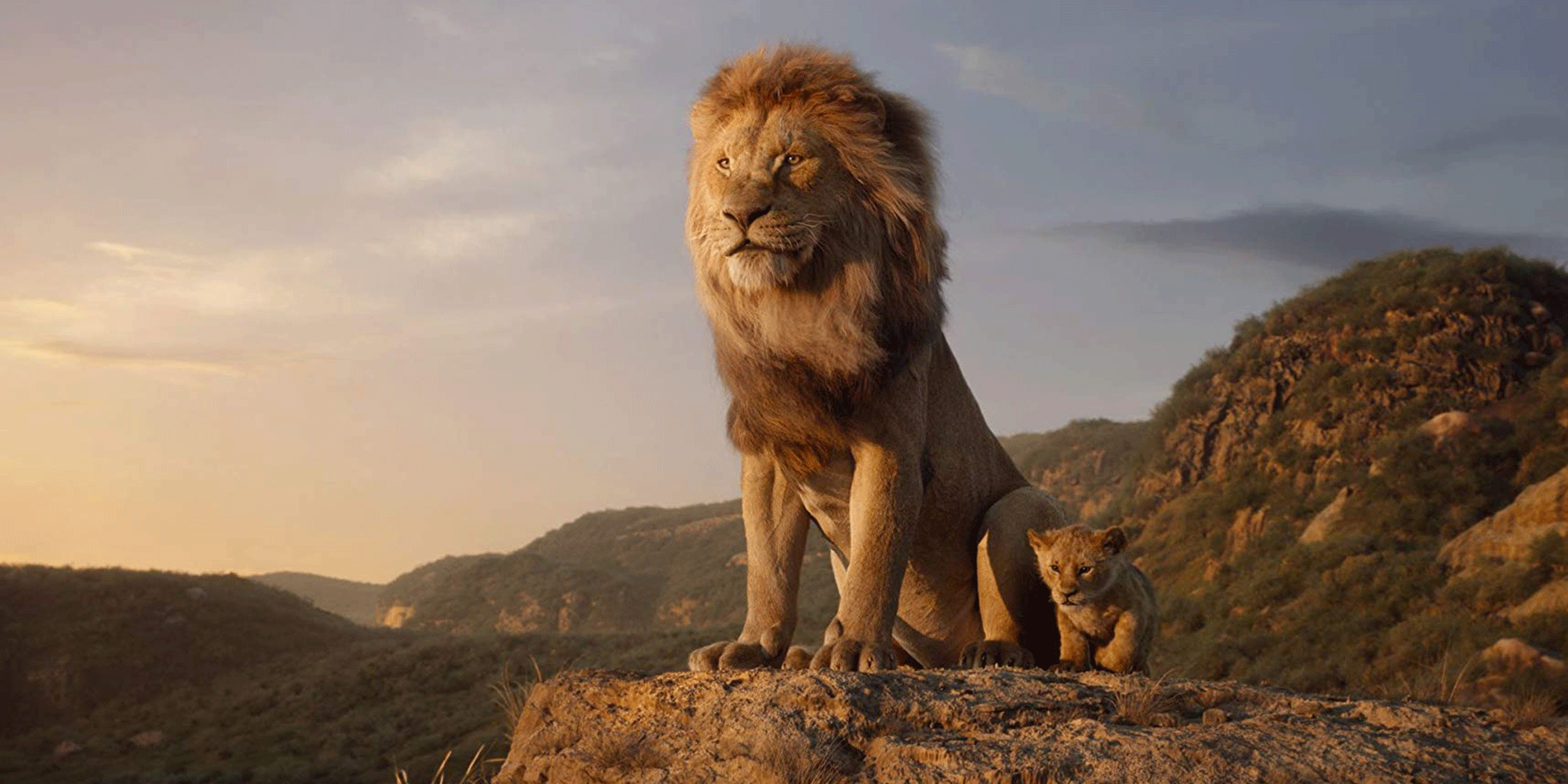 Le Roi Lion Rugit Toujours