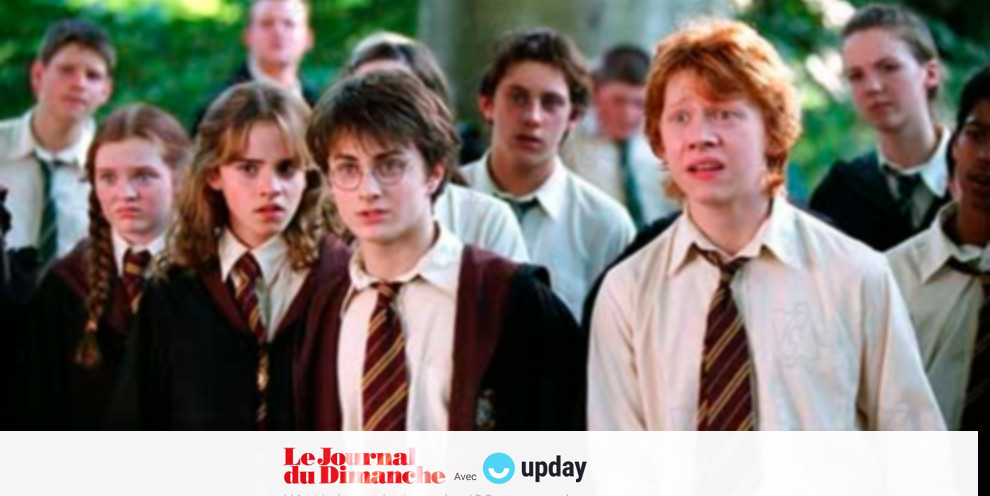 Au Fait Qui Est Harry Potter