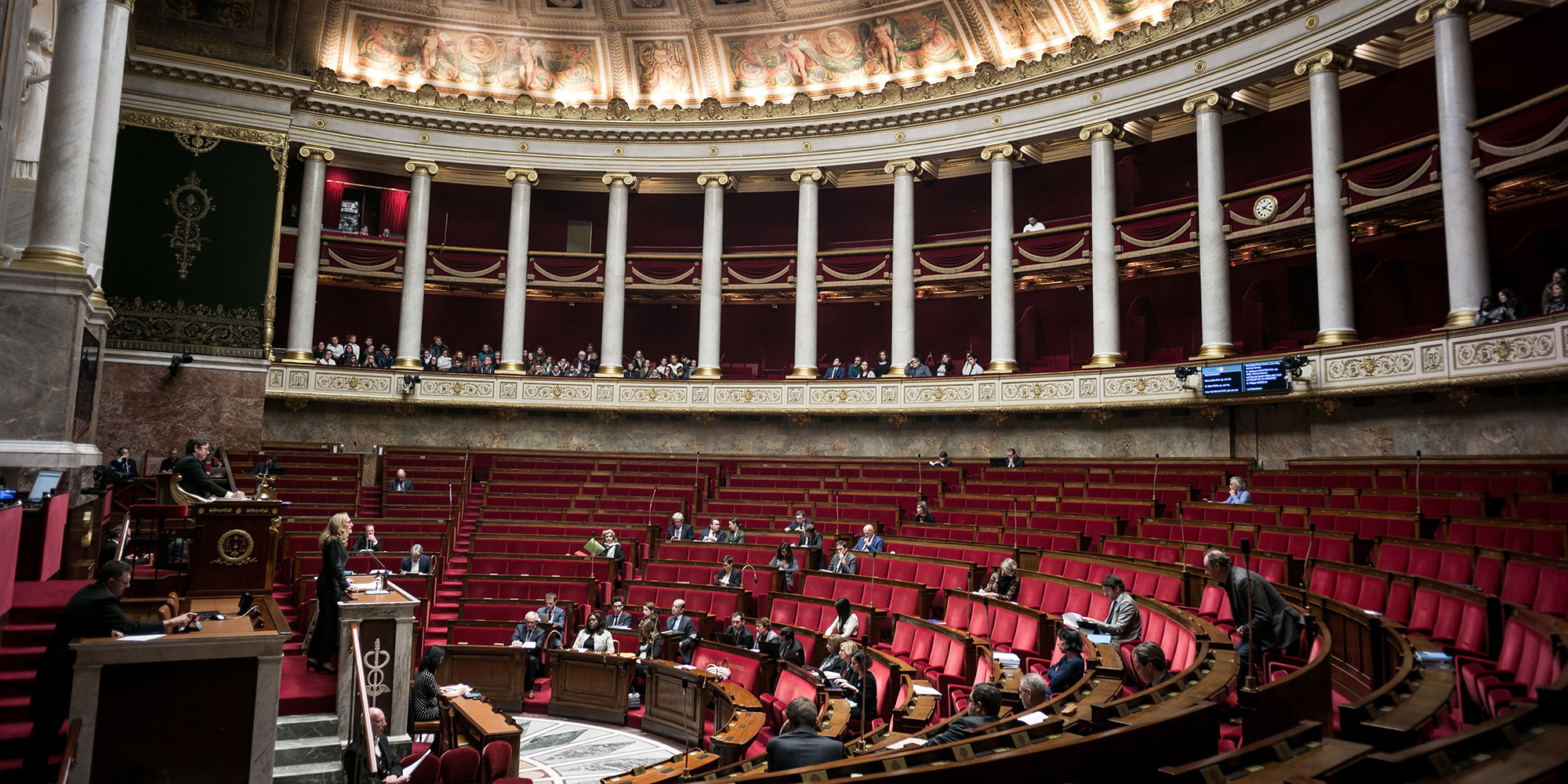 L'appel de 240 parlementaires contre les abandons d'animaux : "Un être sensible ne se jette pas"